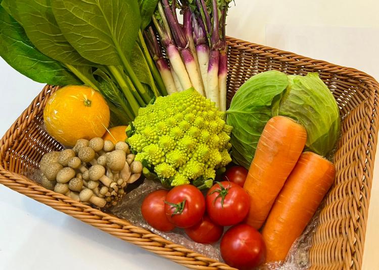 【6~8種】お野菜おまかせセット(1~2人分)