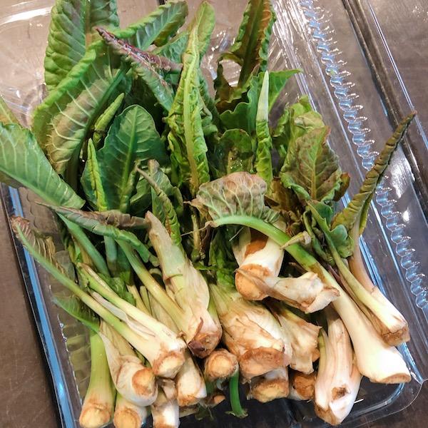ひこひこ オゼイユの新芽 100gの通販 高級食材宅配サービスの四季彩菜みき